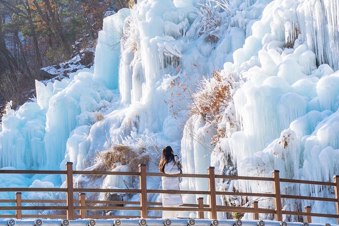Vivaldi Park Winter Ski with Eobi Ice Valley Day Tour from Seoul - Extra costs you should budget for