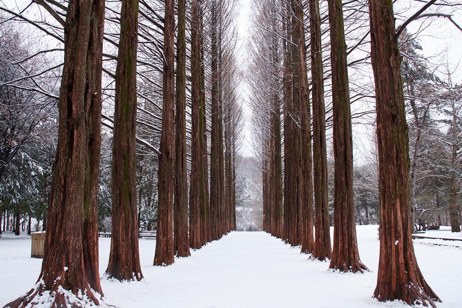 Winter Sonata TV Tour on Nami Island from Seoul - The 7:30 am departure from Seoul
