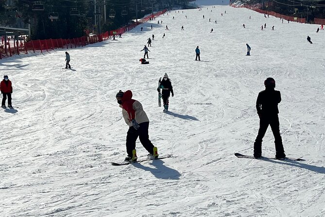 Yongpyong Ski Resort from Seoul with Optional Lesson and Packages - Returning to Seoul after the snow